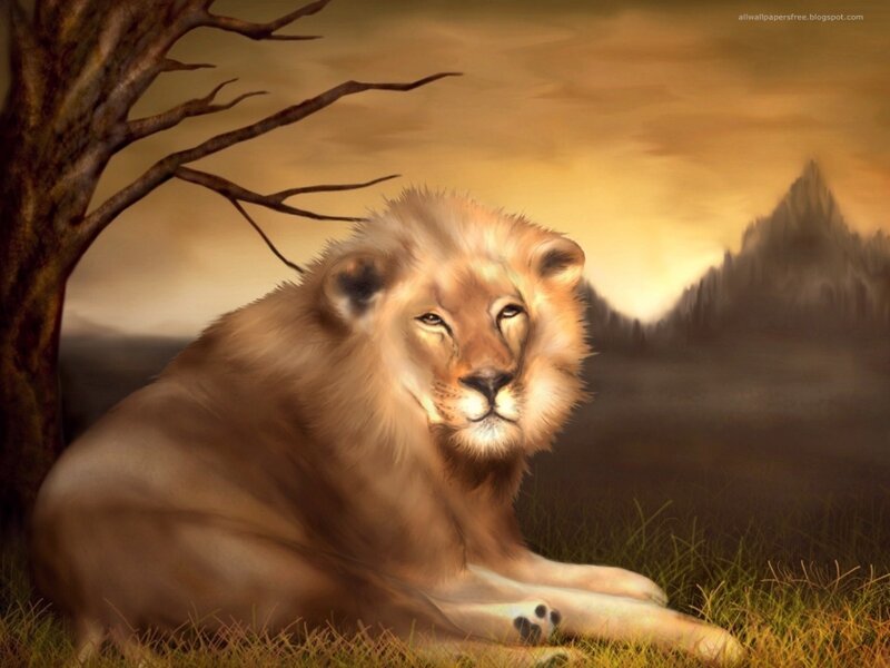 Lion Resting in Grass — Brown