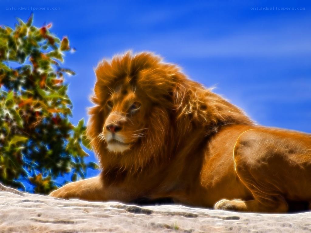 Lion resting under blue sky