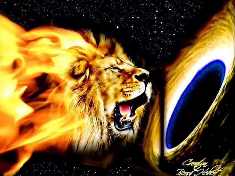 Lion Roaring in Flames