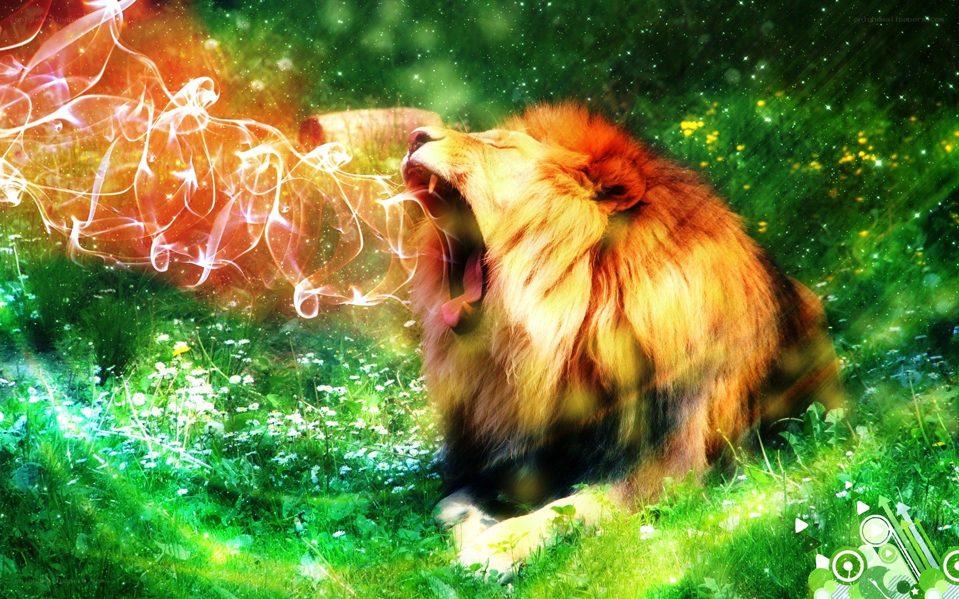 Lion roaring in magical field