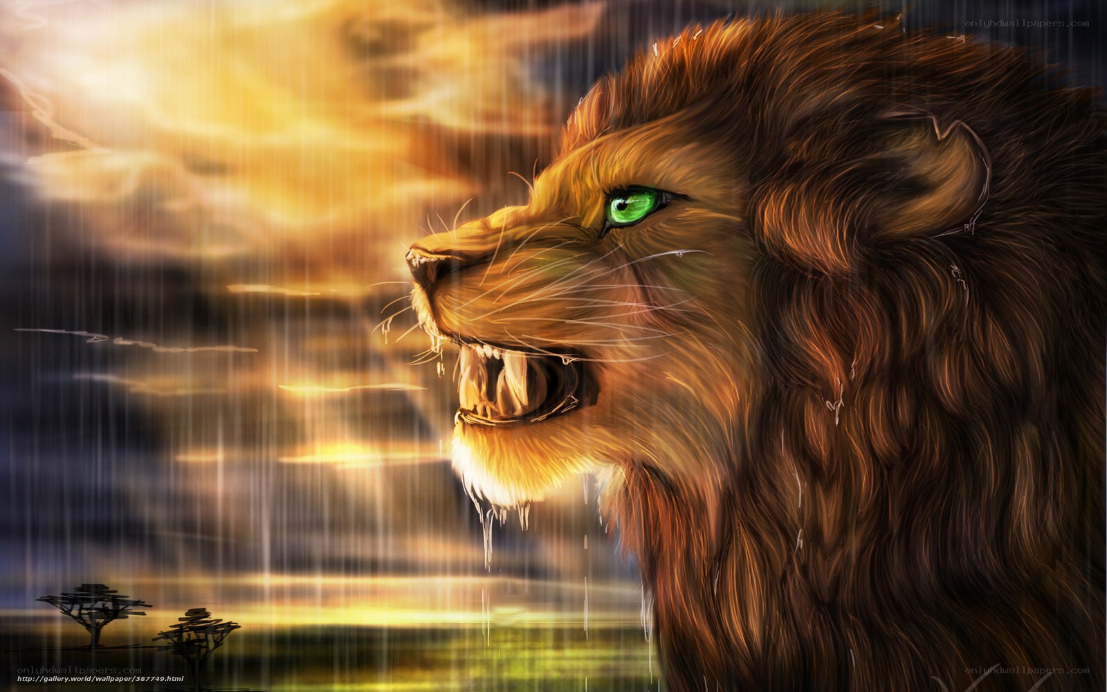 Lion roaring in storm