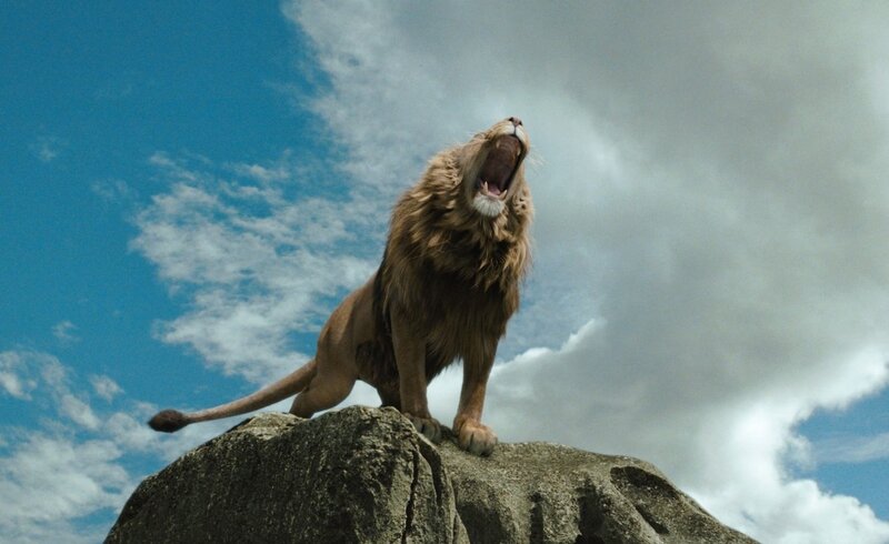 Lion Roaring on Rock — Blue