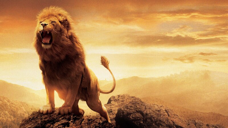 Lion Roaring on Rock — Orange, Dramatic, Sunset, 3d Render