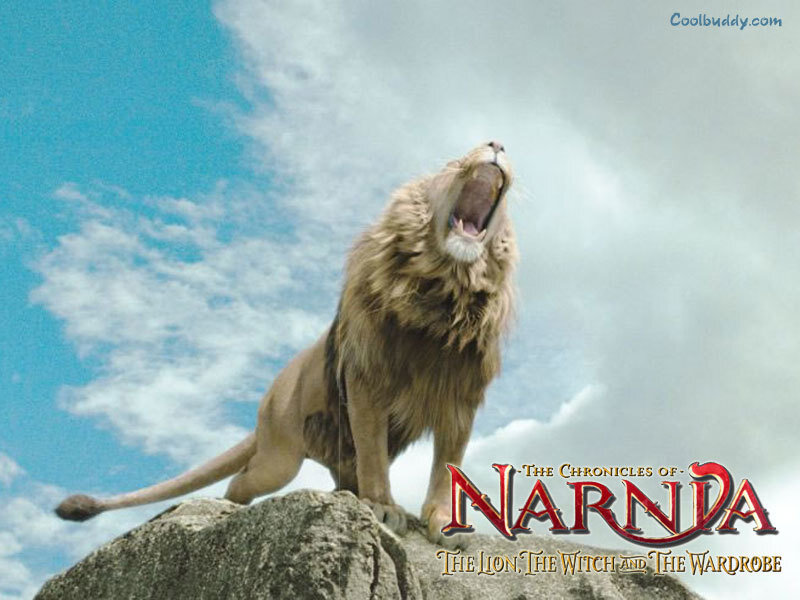 Lion Roaring on Rock