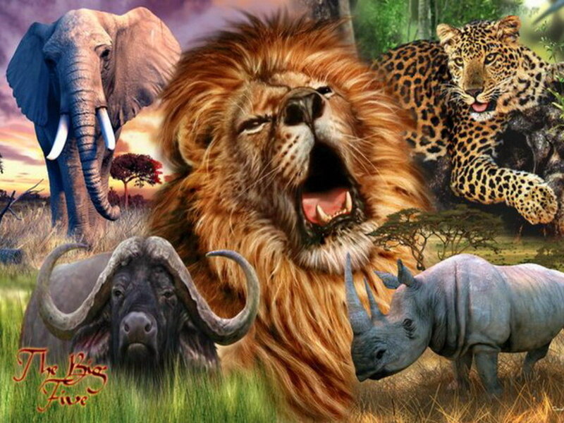 Lion Roaring with Animals