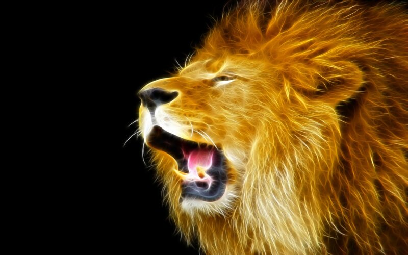 Lion Roaring — Yellow
