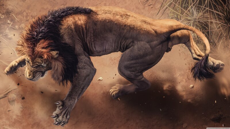 Lion Running in Dust