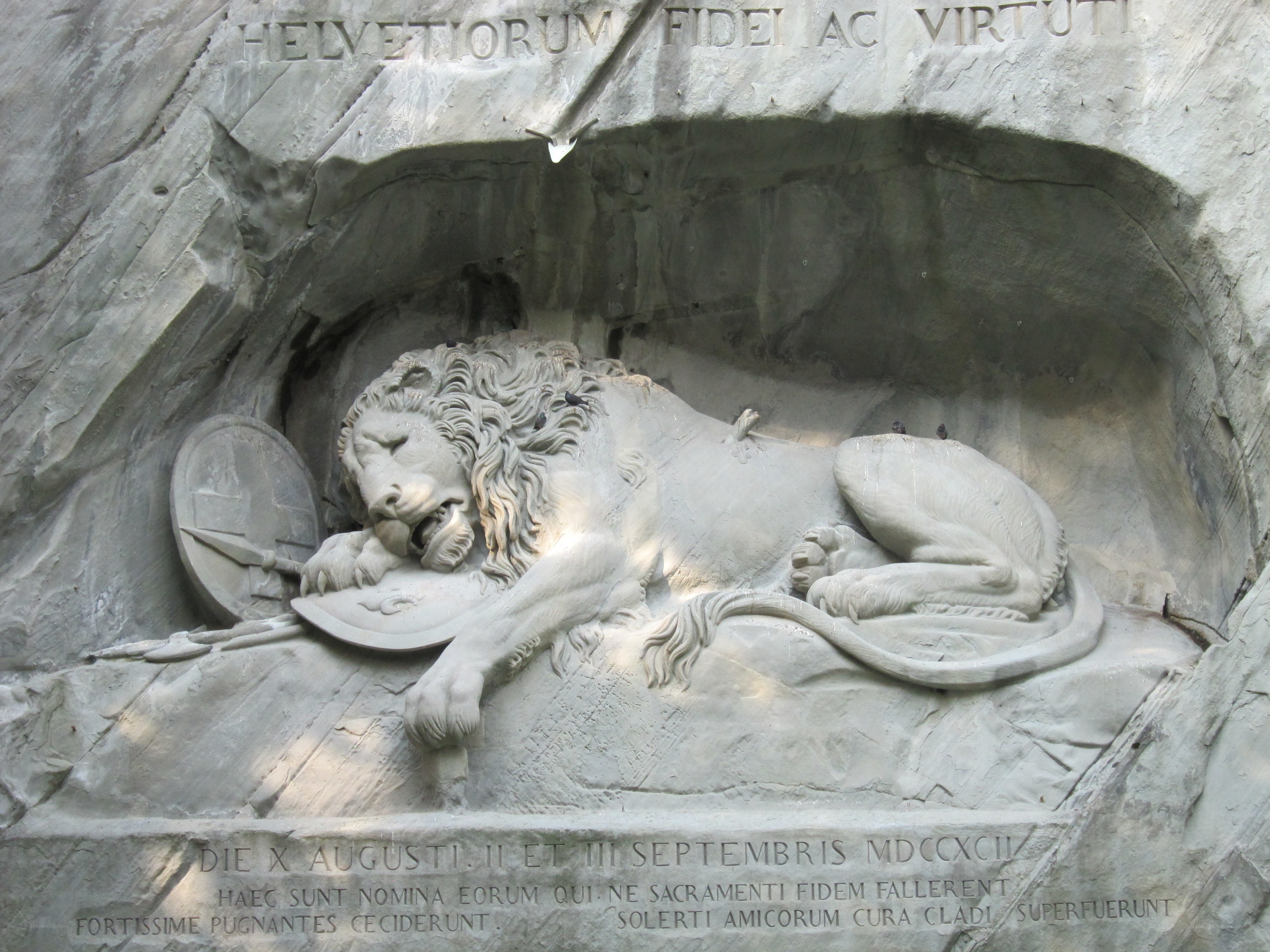 Lion sculpture in stone