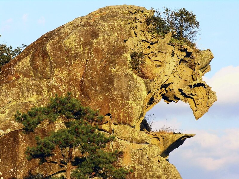 Lion-shaped Rock Formation — Brown