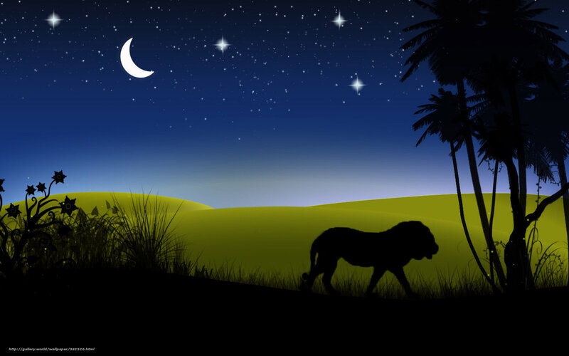 Lion Silhouette at Night