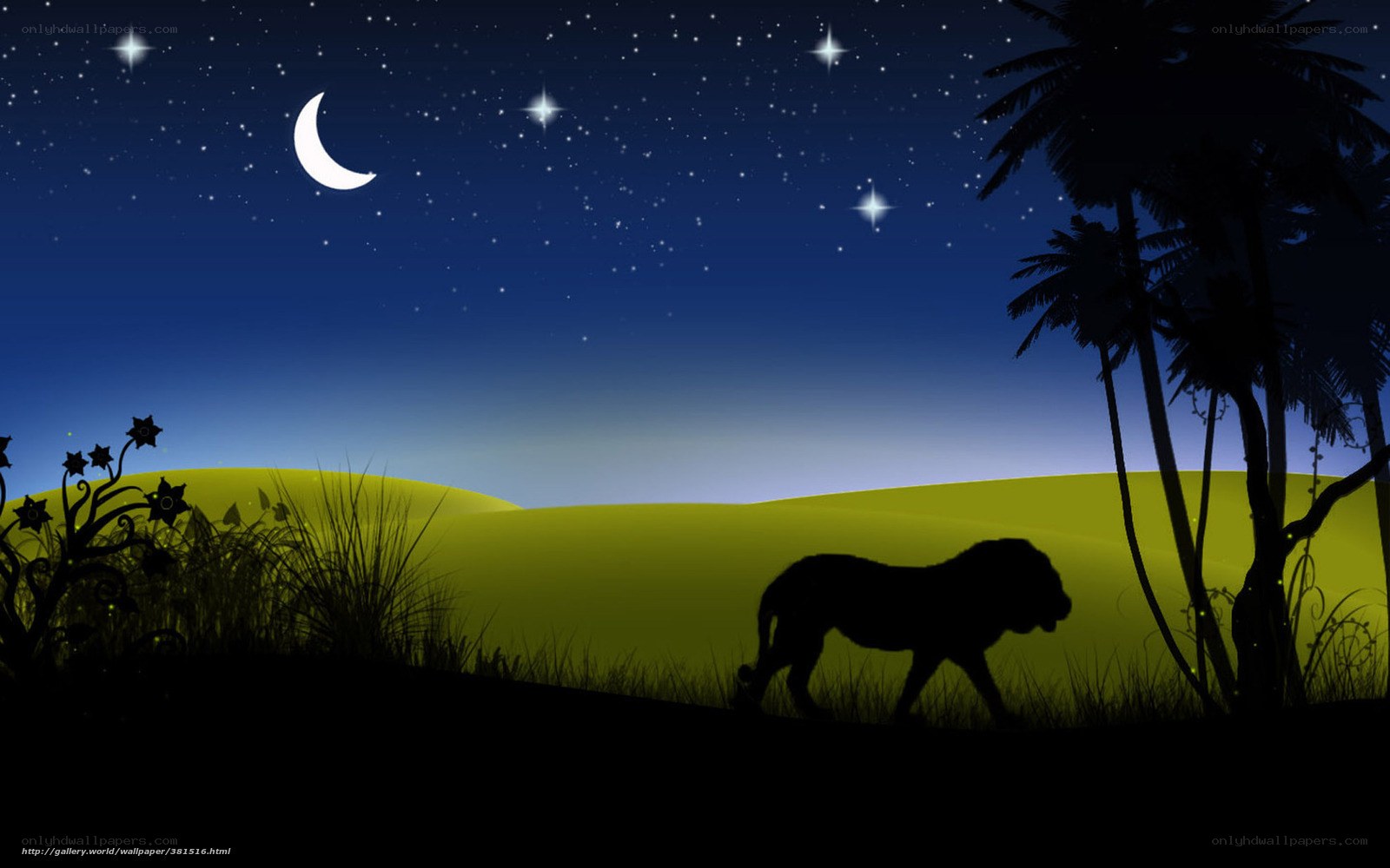 Lion Silhouette at Night