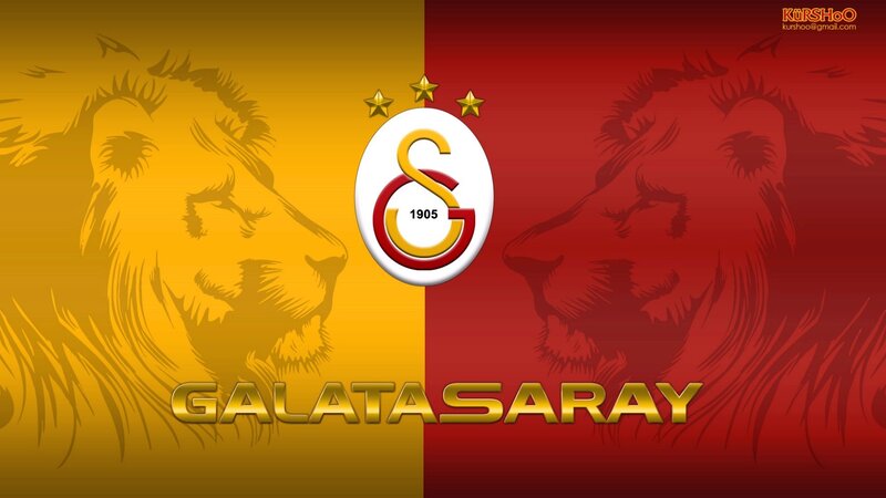 Lion Silhouettes