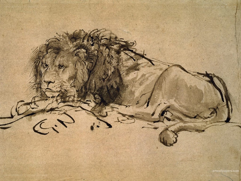 Lion Sketch Drawing