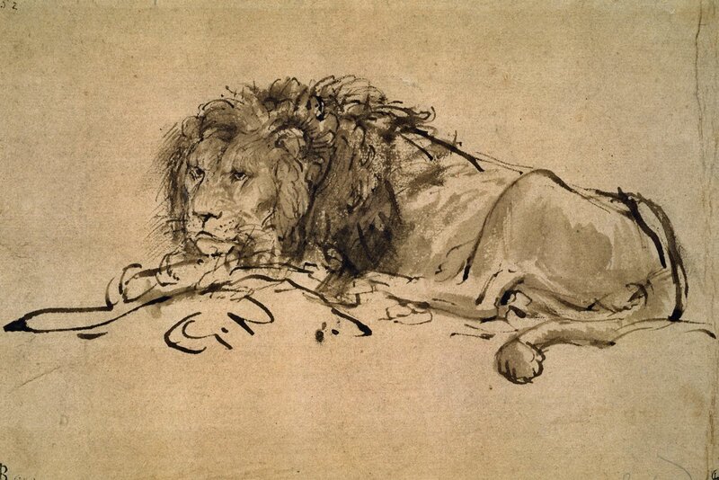 Lion sketch on paper