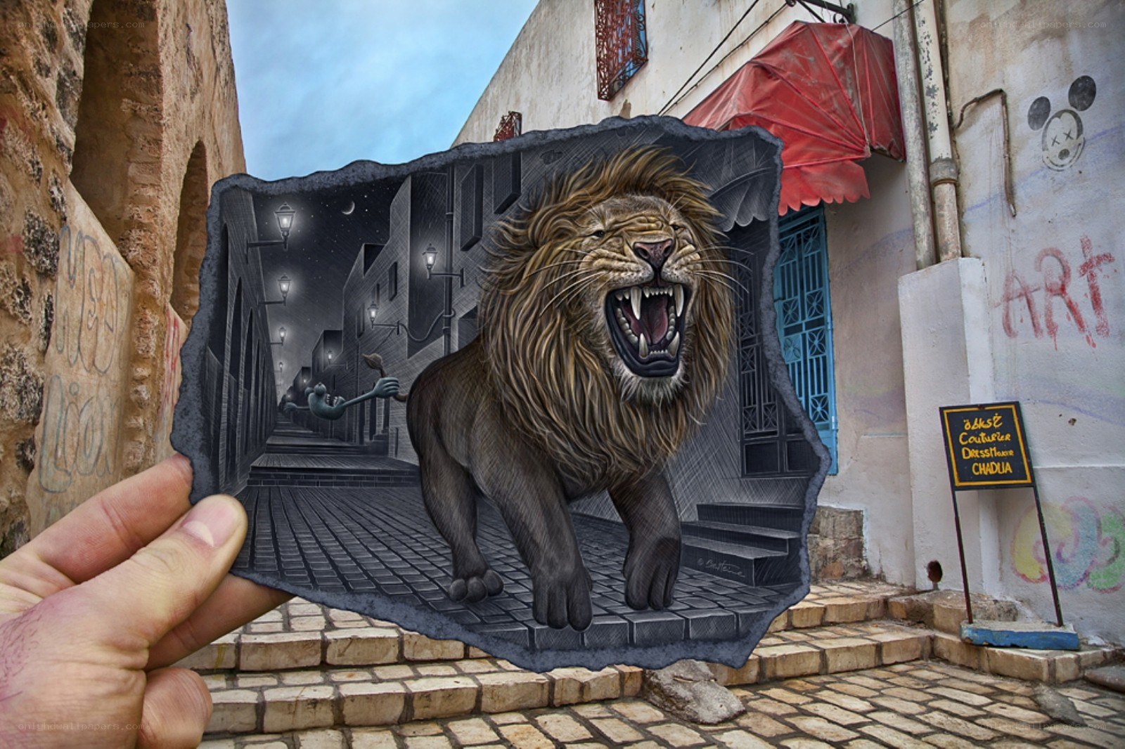 Lion street art illusion