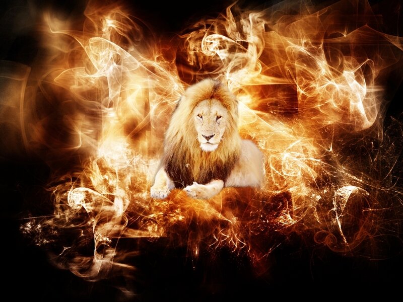 lion surrounded by fire