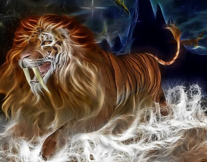 Lion-tiger Hybrid