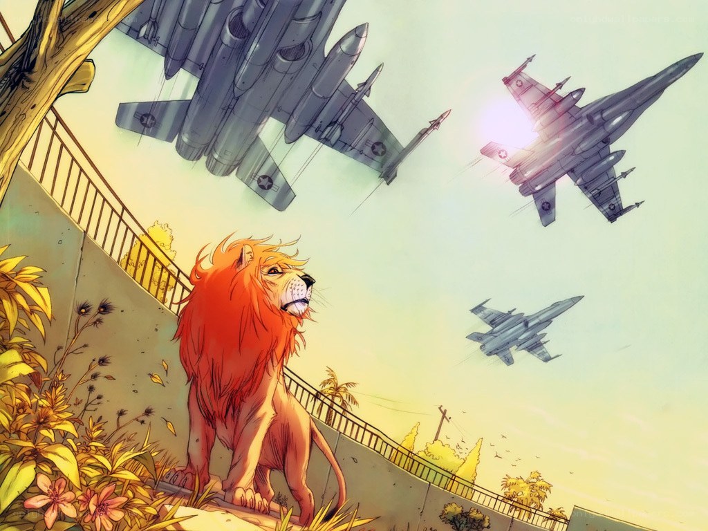 Lion under fighter jets