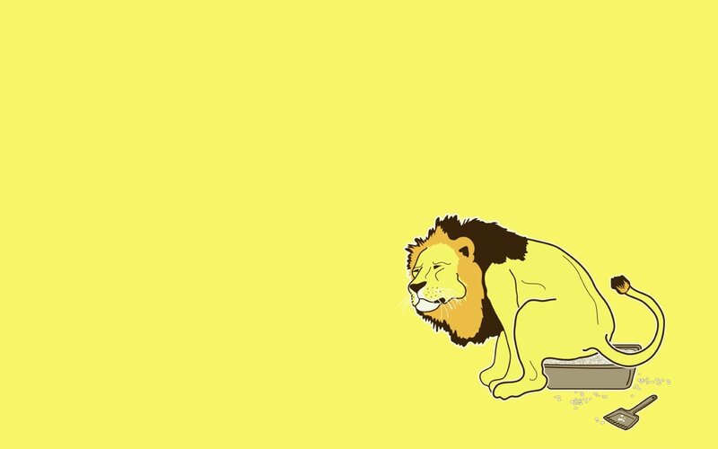 lion using a litter box
