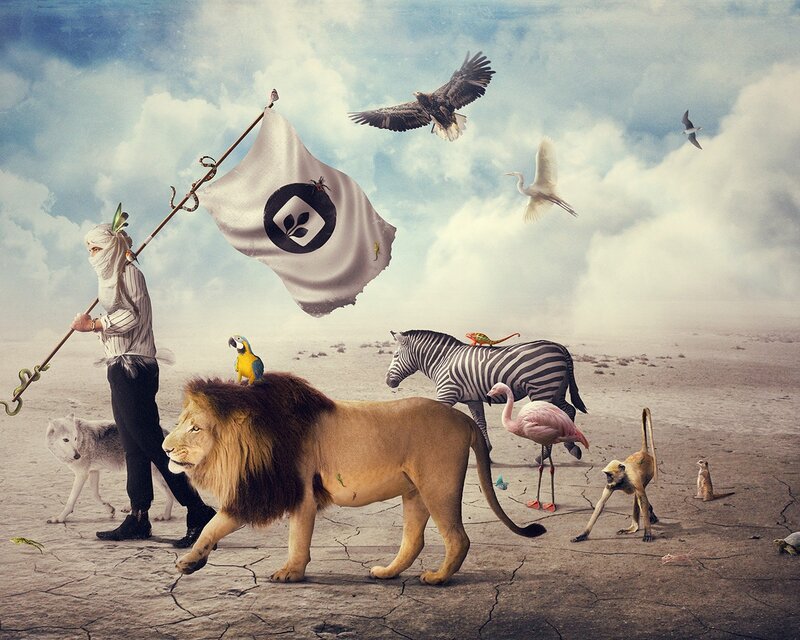 Lion with Animals — Gray