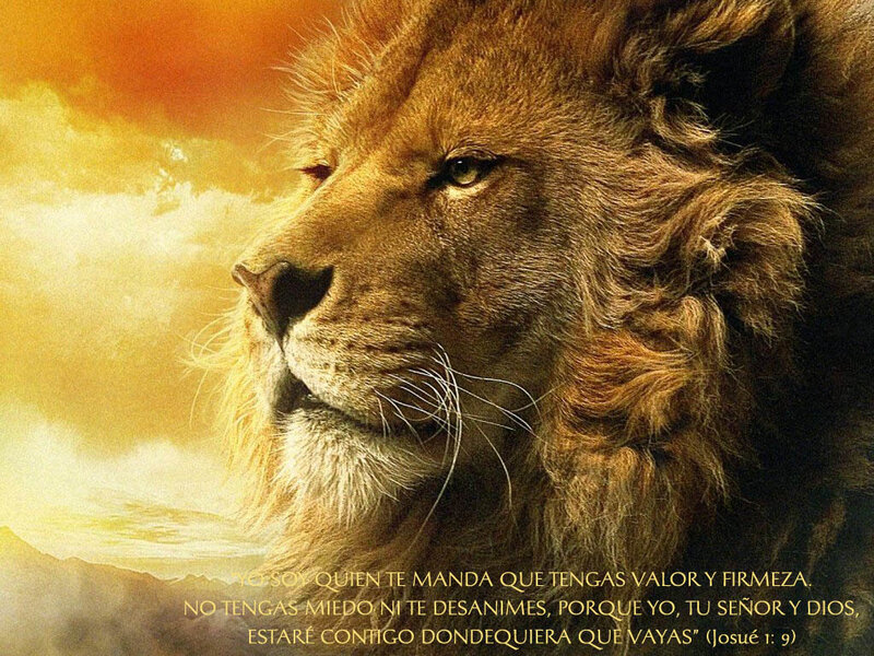 Lion with biblical quote