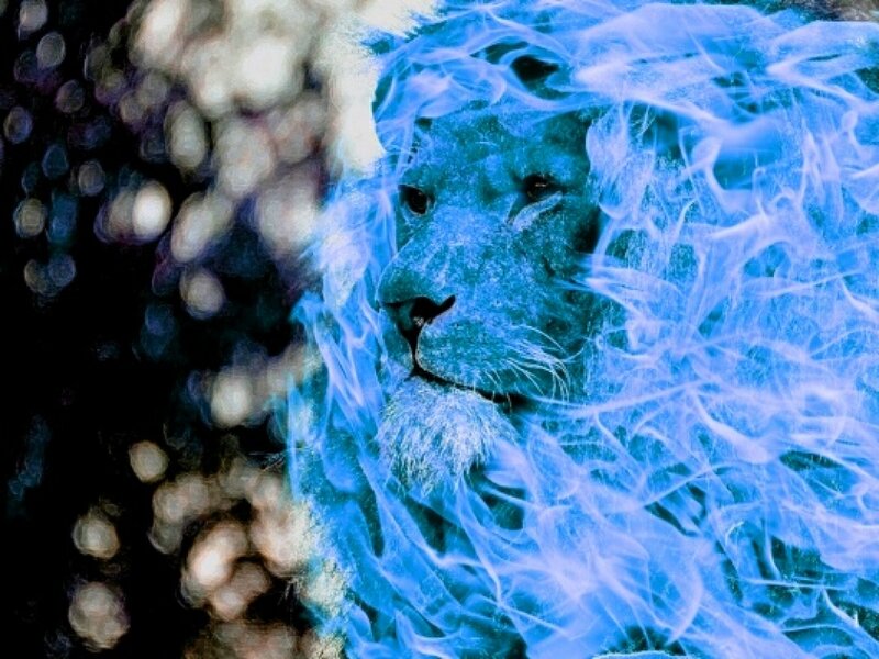Lion with Blue Aura