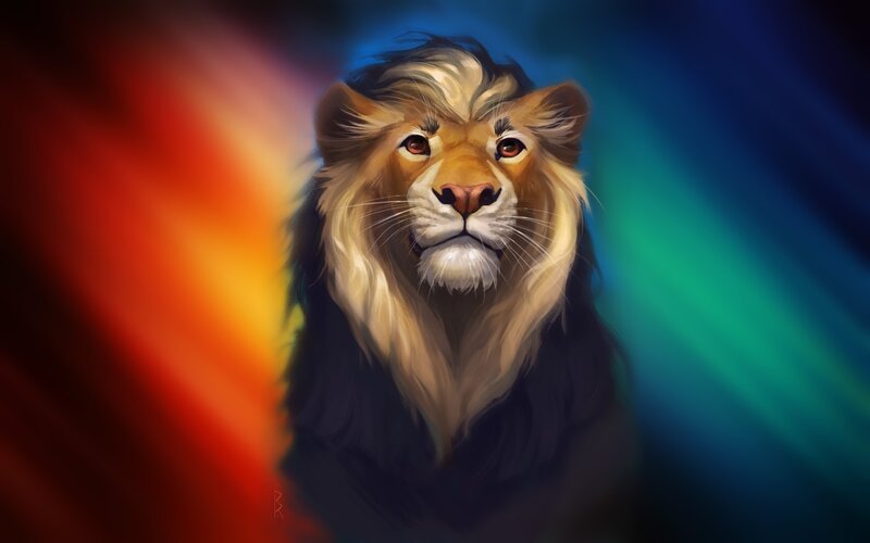 Lion with Colorful Background