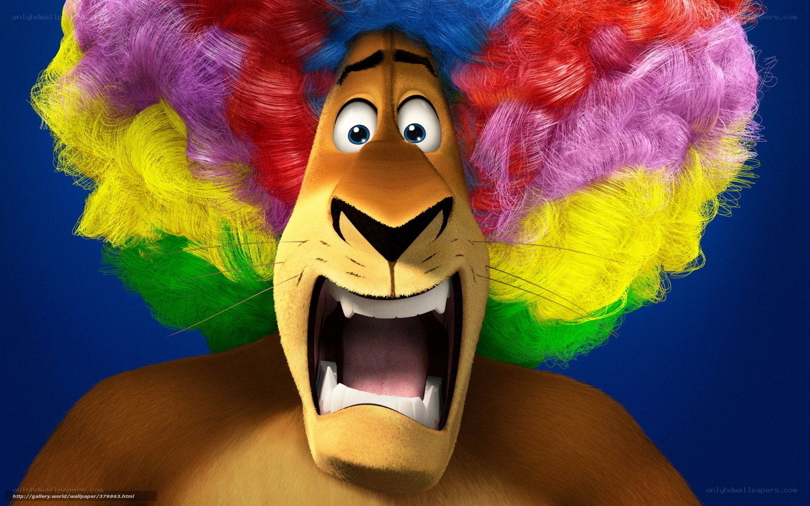 lion with colorful wig