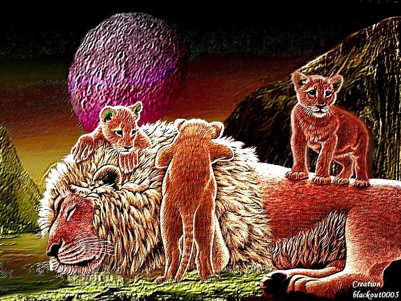 Lion with Cubs