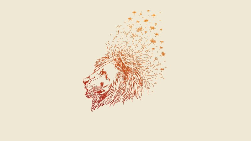 lion with dandelion mane