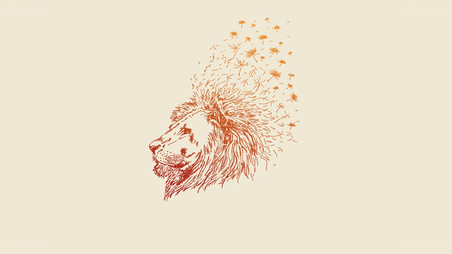 lion with dandelion mane