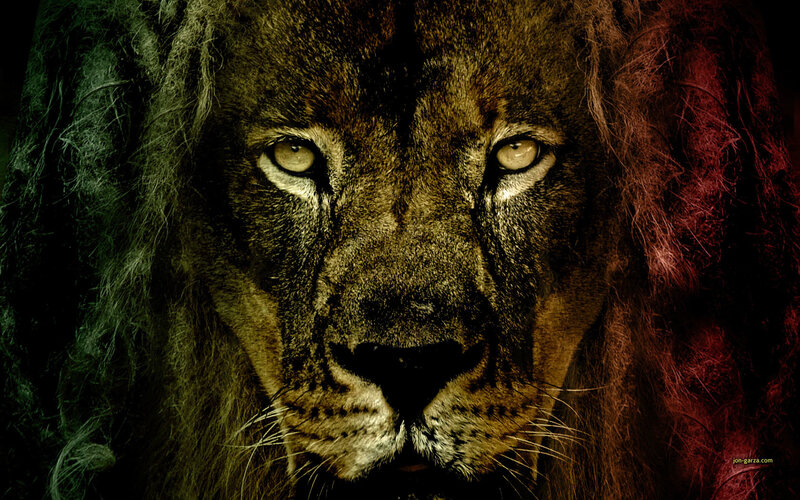 lion with dreadlocks