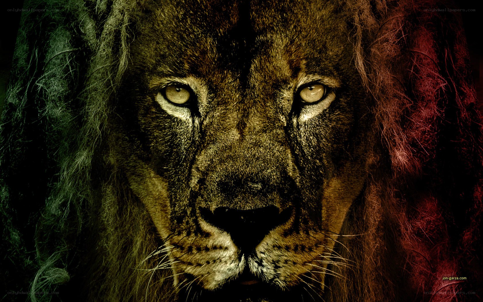 lion with dreadlocks