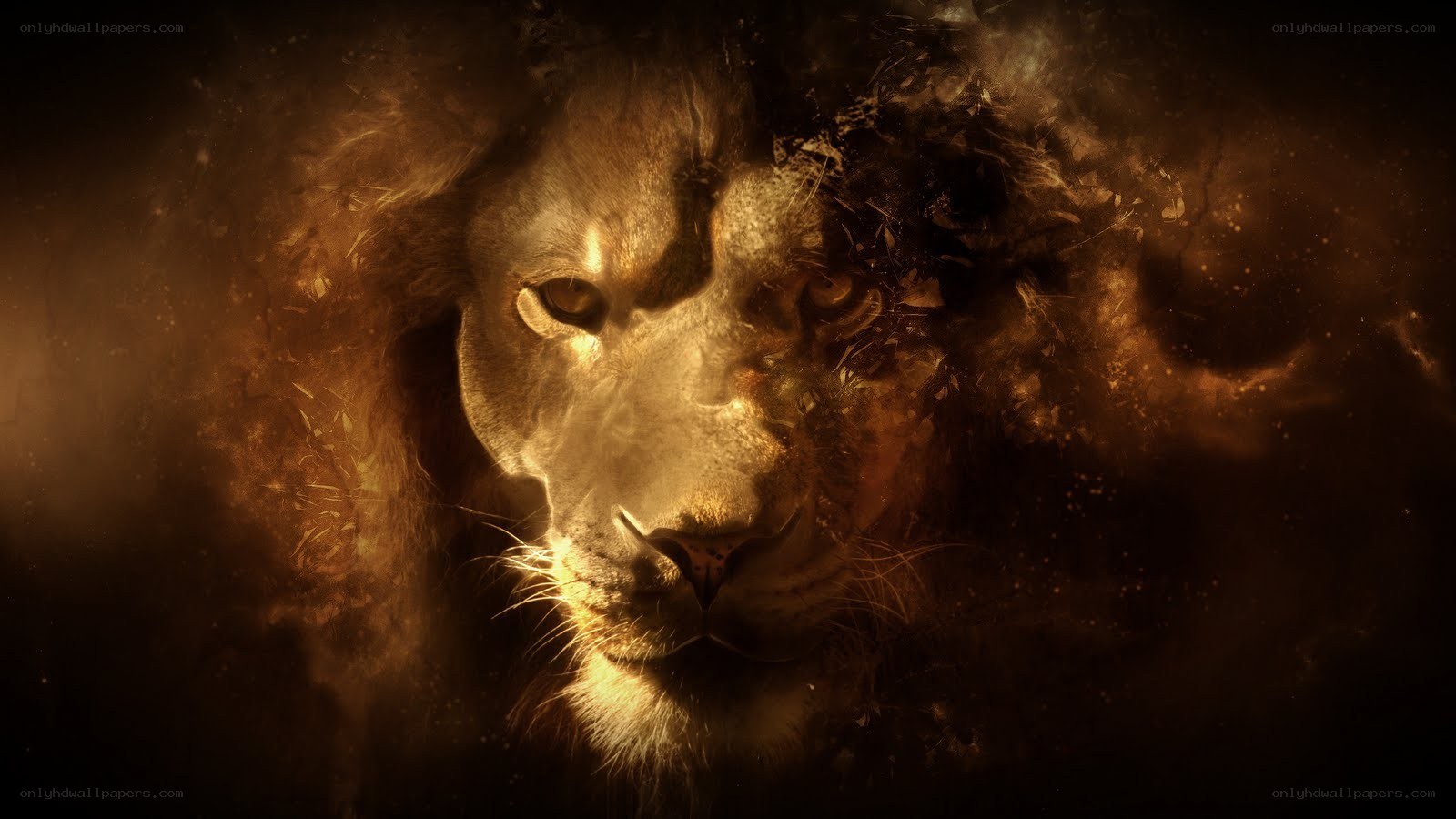 Lion with fiery aura