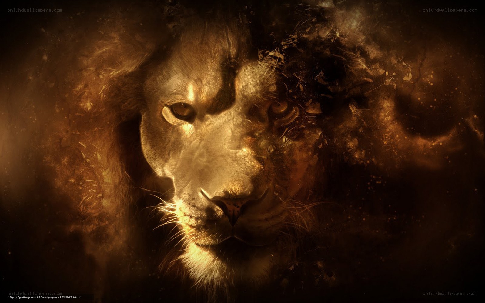 Lion with fiery aura