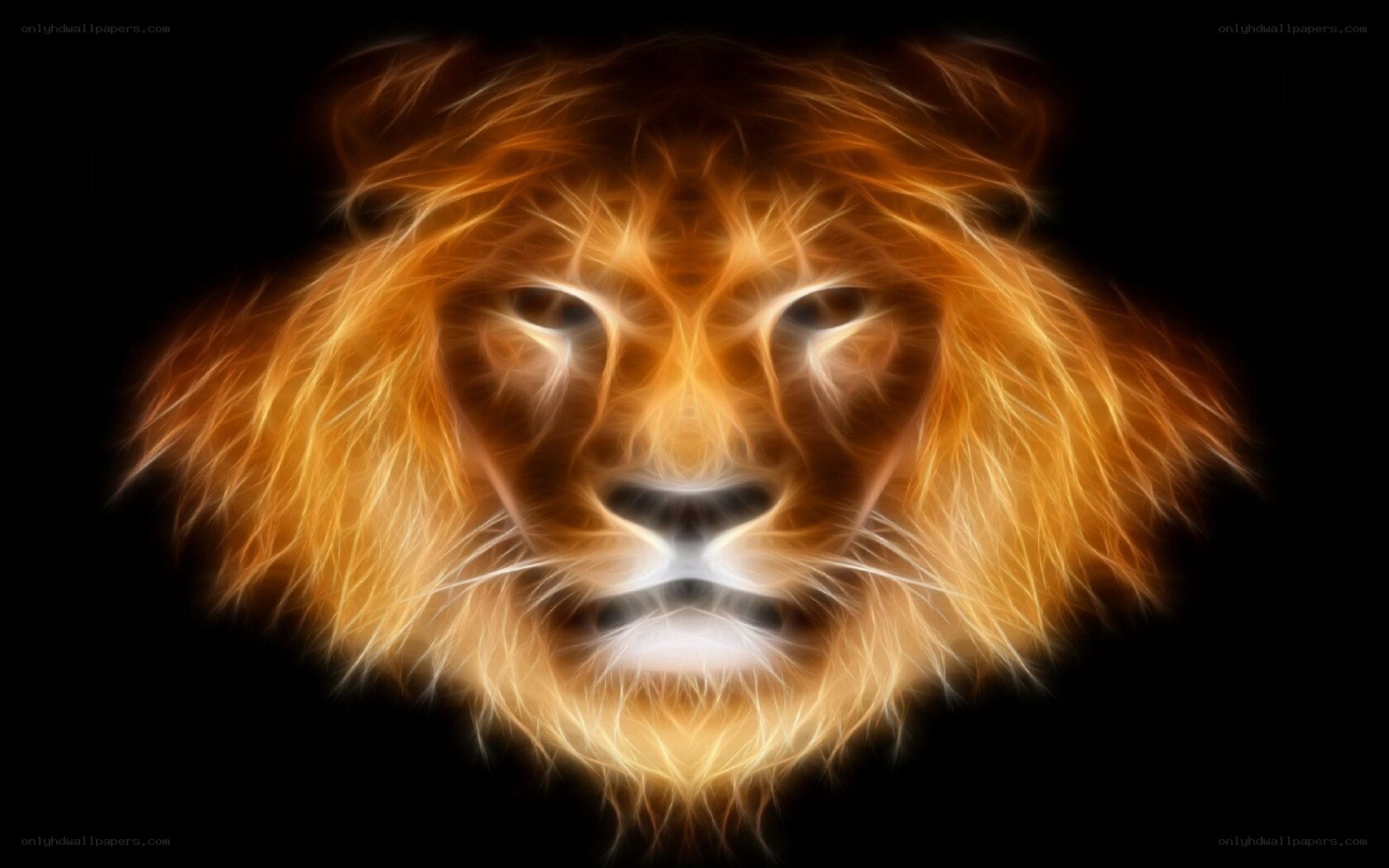 lion with fiery mane