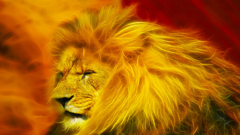 lion with fiery mane