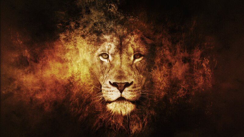 Lion with Fiery Mane — Brown