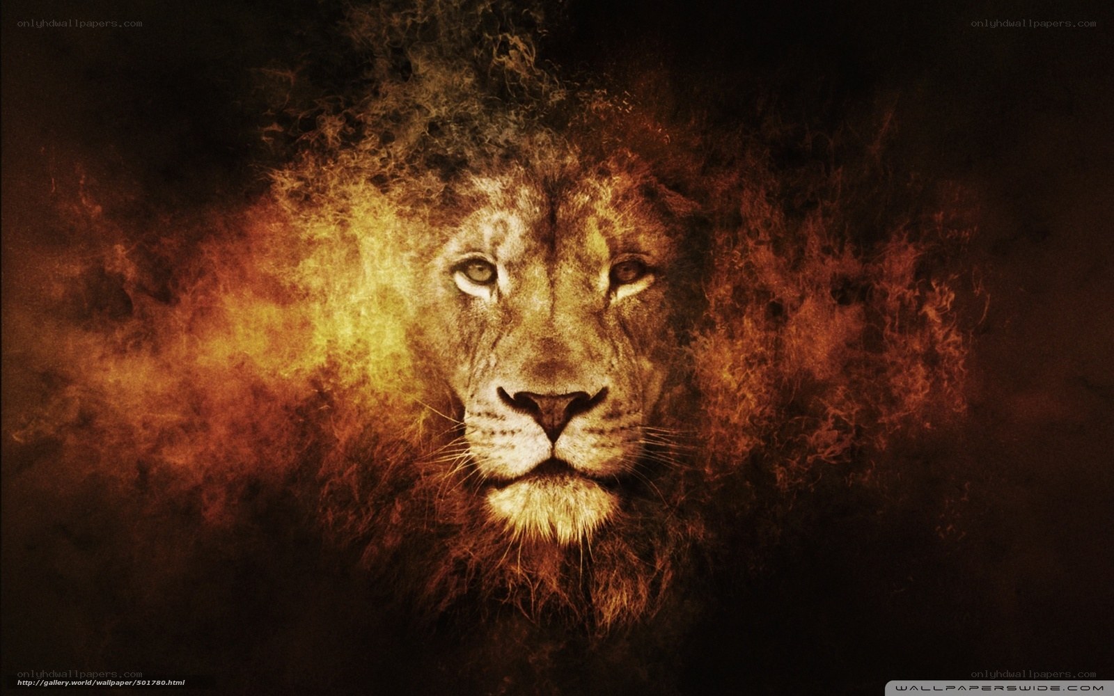 lion with fiery mane