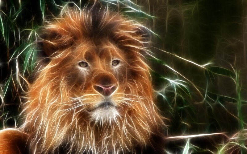 Lion with Glowing Mane — Brown, Dramatic