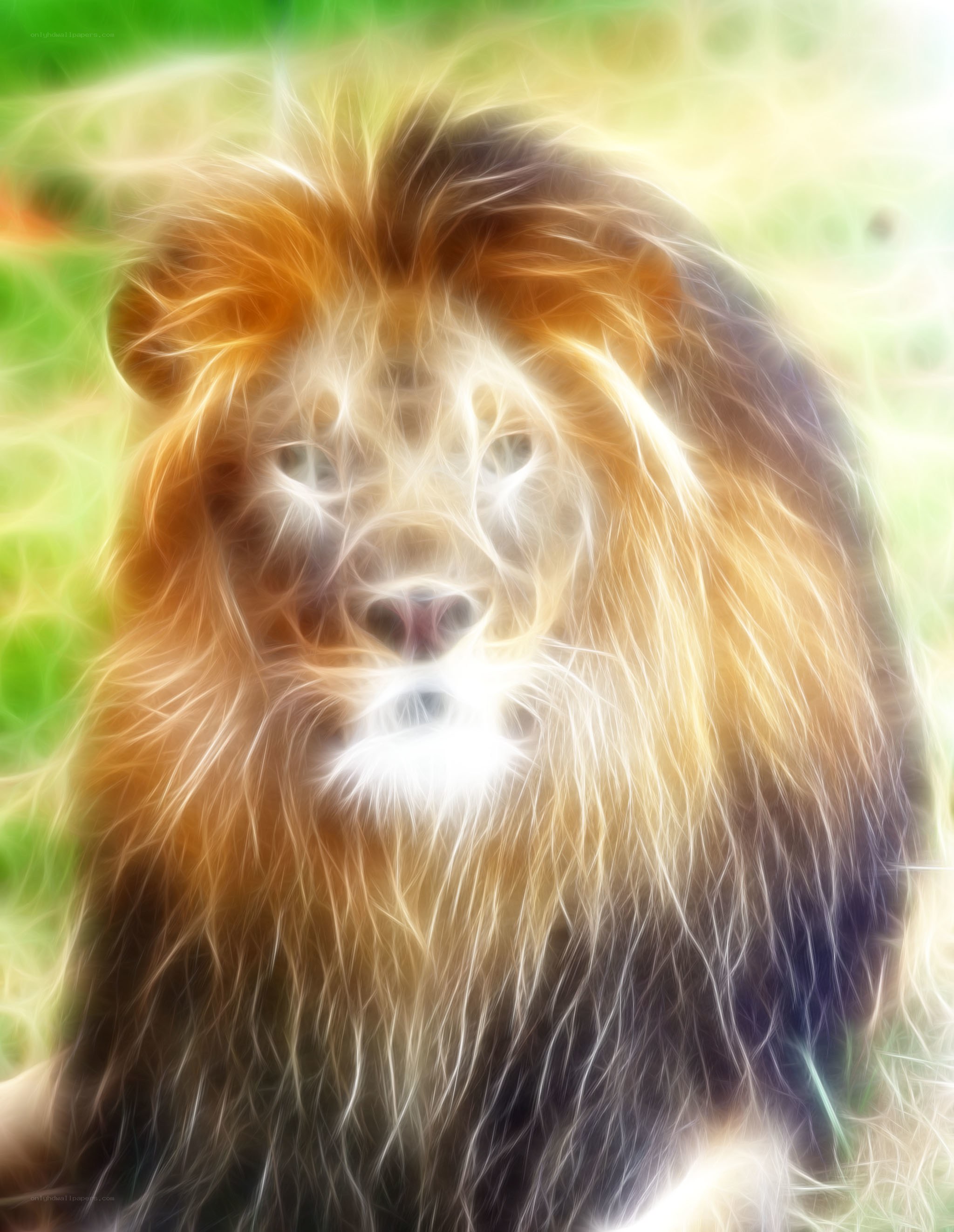 Lion with glowing mane