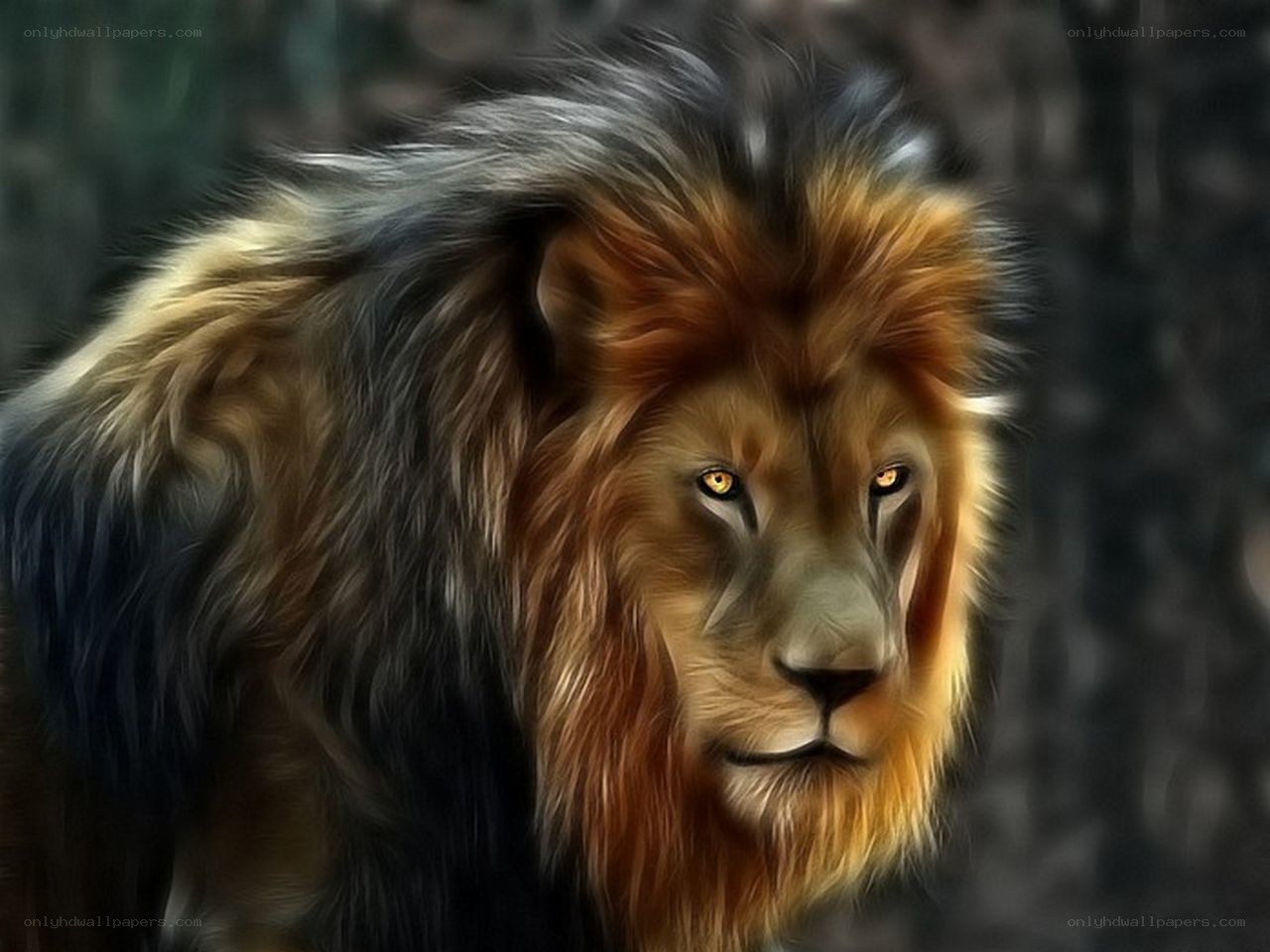Lion with golden mane