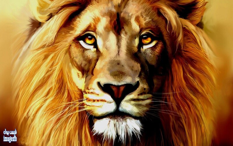 Lion with Golden Mane — Gold, Dramatic