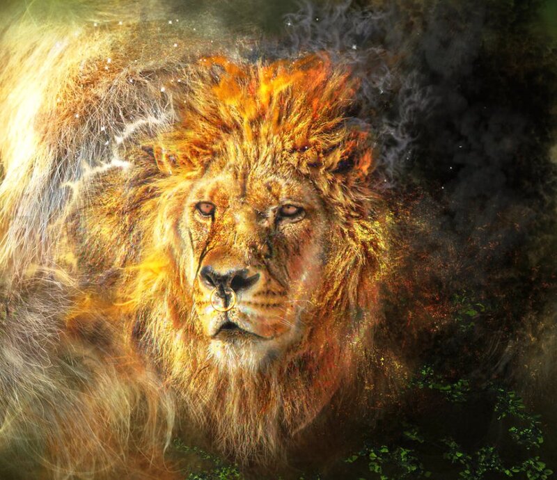 Lion with Golden Mane — Gold