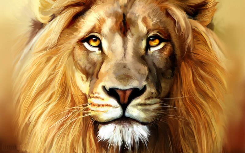Lion with Golden Mane — Intense