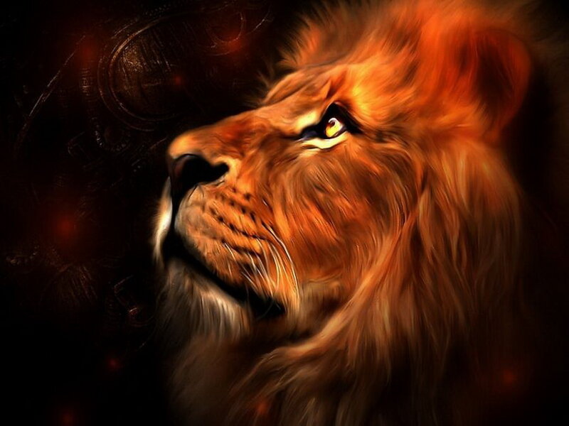 Lion with Golden Mane — Orange