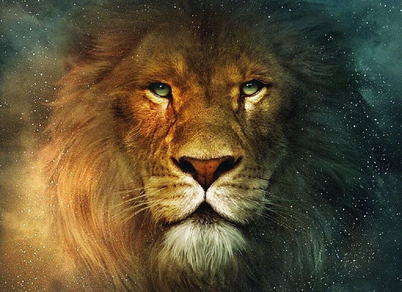 Lion with Green Eyes — Brown, Dramatic, Night