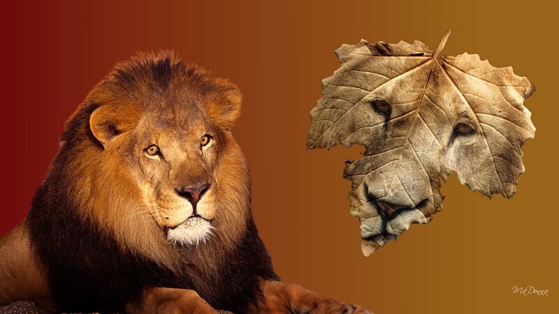 Lion with Leaf Portrait