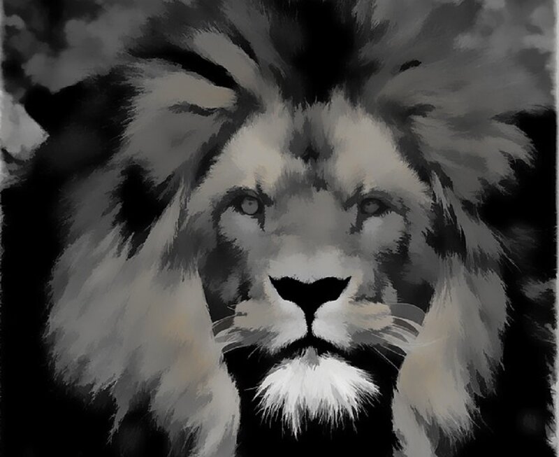 Lion with Mane — Black, Dramatic