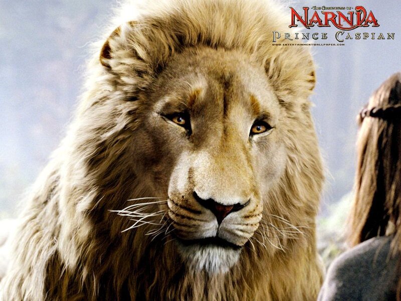 Lion with Mane — Brown, Dramatic